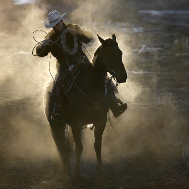 Horses and Their People
